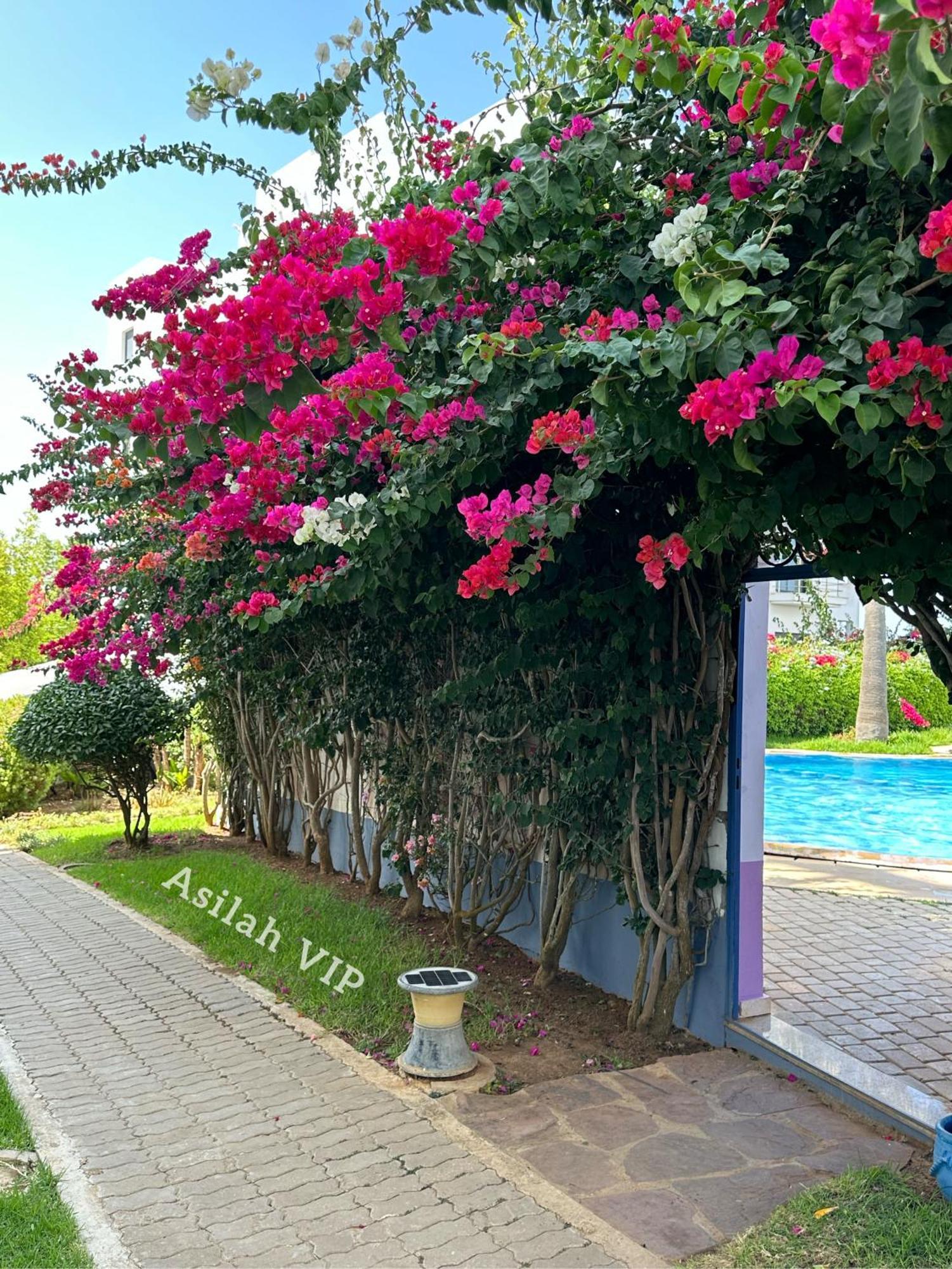 Asilah Vip - Haut Standing - Vue Mer - Piscines - Plage A 5 Minute - Garage Privee - Acces Pmr Eksteriør bilde