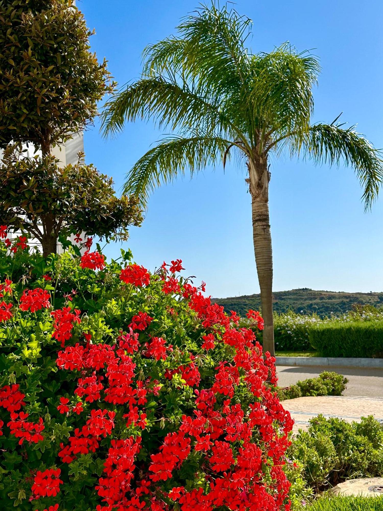 Asilah Vip - Haut Standing - Vue Mer - Piscines - Plage A 5 Minute - Garage Privee - Acces Pmr Eksteriør bilde